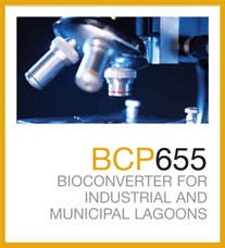 bcp655